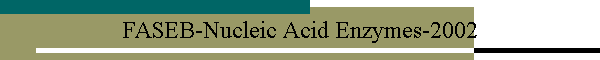FASEB-Nucleic Acid Enzymes-2002