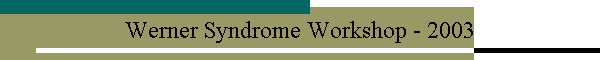 Werner Syndrome Workshop - 2003